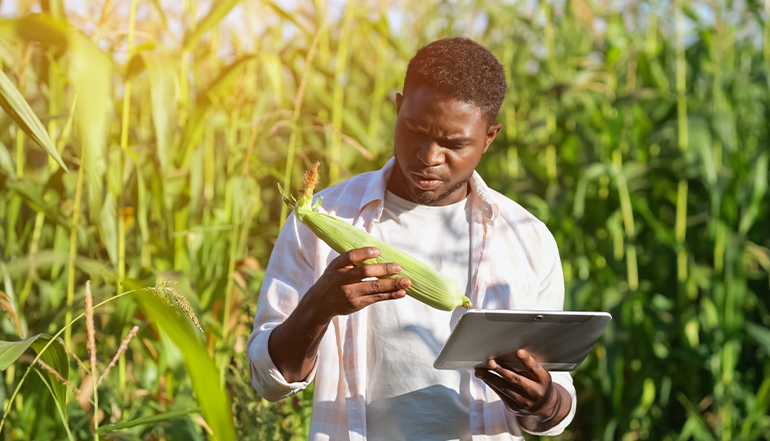 Agriculture Consulting